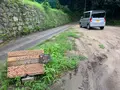 しまのぱん souda！の写真_374365