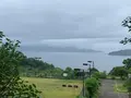 鹿田公園の写真_374366