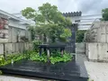 潜水士のためのグラス・ハウスの写真_374390