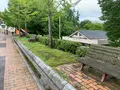 焼山公園の写真_374713