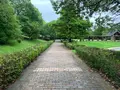 焼山公園の写真_374715