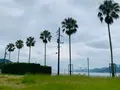 呉ポートピアパークの写真_374717
