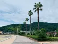 狩留賀海浜公園（ロマンチックビーチかるが）の写真_374756