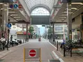フラワー通りの写真_374803