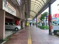 フラワー通りの写真_374804