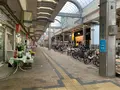 フラワー通りの写真_374806