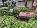 フラワー通りの写真_374829
