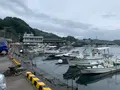 江田島の写真_374862