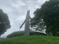 広島市現代美術館の写真_374901