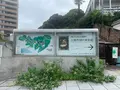 広島市現代美術館の写真_374909