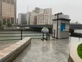 川の水上タクシー「雁木タクシー」の写真_374943