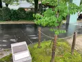 平和の門の写真_374960