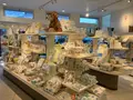 伊織 松山店の写真_375073