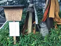 六角堂の写真_375486