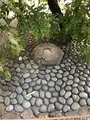 六角堂の写真_375493