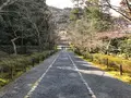 二尊院の写真_375568
