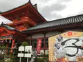 伊佐爾波神社の写真_375685