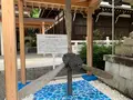 愛媛縣護國神社の写真_375706