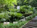 愛媛縣護國神社の写真_375710