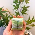 霧の森菓子工房 松山店の写真_375724