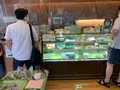 霧の森菓子工房 松山店の写真_375728