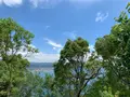 鹿島公園展望台の写真_375768