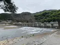 渡月橋の写真_375833