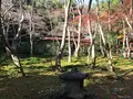 祇王寺の写真_375845