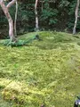 祇王寺の写真_375853