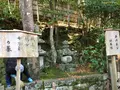 祇王寺の写真_375854
