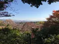 常寂光寺の写真_375892