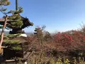 常寂光寺の写真_375895