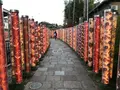 嵐山駅の写真_375897