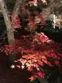 宝厳院の写真_375904