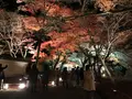宝厳院の写真_375905