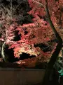宝厳院の写真_375906
