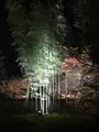 宝厳院の写真_375907
