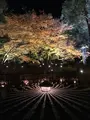 宝厳院の写真_375909
