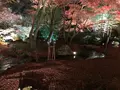 宝厳院の写真_375910