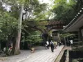 南禅寺の写真_375917