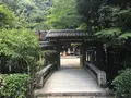 宇治上神社の写真_375933