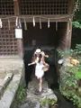宇治上神社の写真_375935