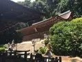 宇治上神社の写真_375936