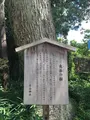 宇治神社の写真_375941