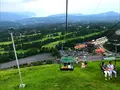 大室山の写真_375971
