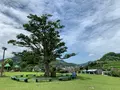 尾道市因島フラワーセンターの写真_376175