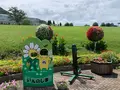 尾道市因島フラワーセンターの写真_376184