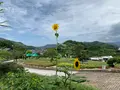 尾道市因島フラワーセンターの写真_376185