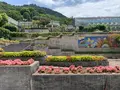 尾道市因島フラワーセンターの写真_376188