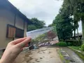 松山城二之丸史跡庭園の写真_376469